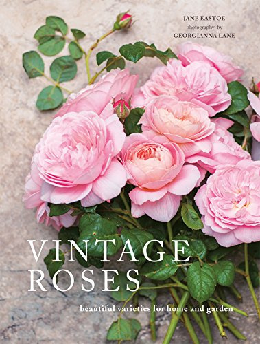 Vintage Roses: A No-Fuss Gardening Guide to Growing Stunning Flowers in Any Garden or Pot (Beautiful Varieties/Home/Gardn)
