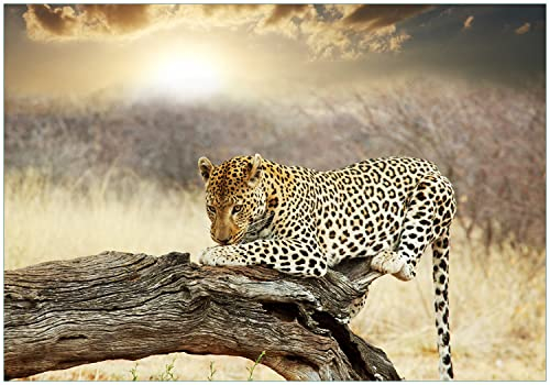 Wallario Vliestapete Fototapete Leopard auf Baumstamm in Afrika - Wandtapete Größe: 200 x 140 cm