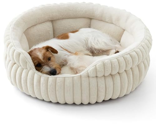 Bedsure Kleine Hundebetten Waschbares Cord-Fleece Welpenbett, 66x66cm | Rundes großes Katzenbett Umarmungs-Stil Tiefschlaf hohe Ränder, herausnehmbares Wendekissen, rutschfest, Weiß