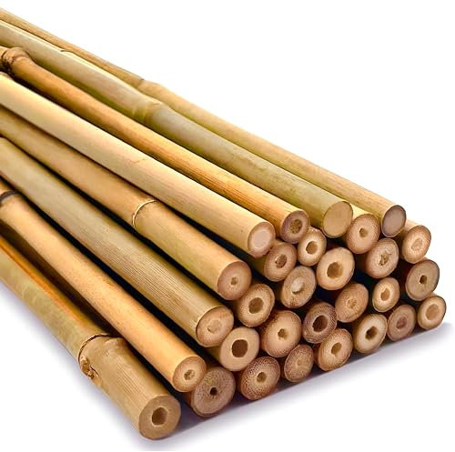 Strong Heavy Duty Professional Bamboo Canes for Plant Support - Multiple Lengths 2ft - 8ft Garden Stakes, Durable Large Garden Canes Sturdy & Natural Bamboo Sticks for Plants Size (4ft, 10, 12-14mm)