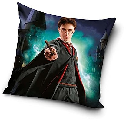 Harry Potter Kissenhülle Kissenbezug 40x40 cm (HP224067)