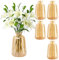 Ezvsevuo Lot de 6 Petits Vases en Verre - Mini Décoratifs pour Table de Mariage - Vintage Single-Mini Vase pour Décorations de Table Moderne