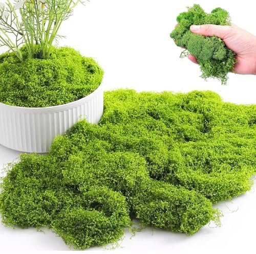 100g Artificial Moss, Real Fake Moss, Faux Moss for Indoor Planters for Landscaping, Floristry and More