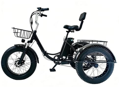 NOOGRRFA Faltbares Elektrisch Unterstütztes Dreirad, 20-Zoll-DreiräDer FüR Erwachsene, Hupe Und LCD-Display, 200 Kg Traglast, Senioren-Einkaufs- Und Fitnessroller