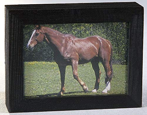 Kahlert Licht 49645 Puppenhauszubehör, schwarz, mit Motiv