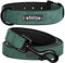 Didog Soft PU Leather Padded Custom Dog Collar with Personalized Nameplate and D Ring, Engraved Dog Collars for Small Medium Large Dogs (M: width 2.2cm,neck 27-36cm, Green Set)