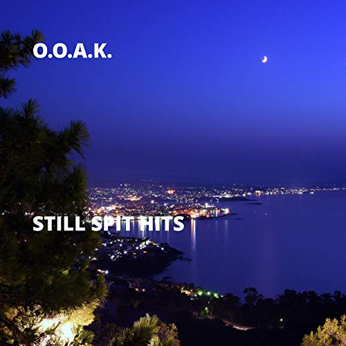 Still Spit Hits [Explicit]