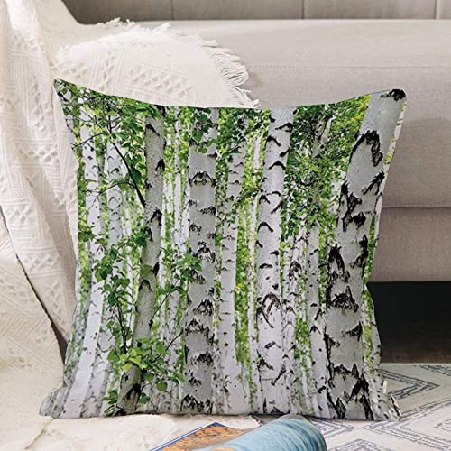Kissenbezug 45x45 cm,Woodland Birken im Wald Summertime Wildlife Natur themenorientiertes D,Outdoor Kissen Kissenbezüge Kissenhülle Sofa Kissen dekokissen Zierkissen für Wohnzimmer Garten deko draußen