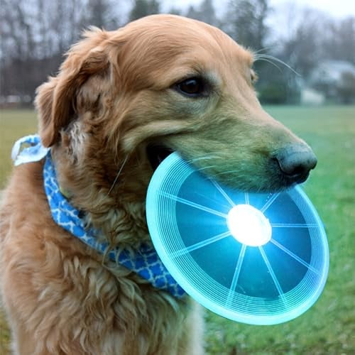 XUBX 2 Stück Hunde Frisbees, Verdickt Hund Scheibe, Hundespielzeug Frisbee, Gummi Frisbee, Hundefrisbee, Frisbee Hund, Training Hundespielzeug Set für Hundetraining, Werfen, Lila und blau