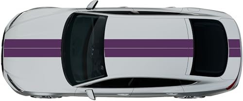 Kiwistar Viperstreifen glänzend - 2 STK. 20 x 400 cm - Violett Rennstreifen, Aufkleber, Rallystreifen - ohne Übertragungsfolie - Tuning - Viper - Racing - Zierstreifen