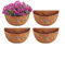 CWOQOCW 3 forros de coco de repuesto semicirculares de 16 pulgadas, fibra de coco de repuesto para cestas colgantes de pared, macetas de jardín (16 pulgadas)