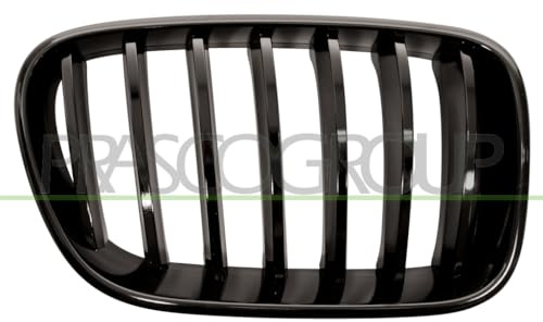 PRASCO BM8052003 Frontgrillspoiler