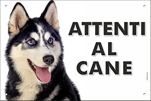 Pubblimania Sibirian Husky Hundeschild aus Metall, Aluminium, Stärke 3 mm (Cm 20 x 30)