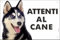 Pubblimania SIBERIAN HUSKY Cartello Attenti al Cane in metallo Alluminio, spessore 3mm (Cm 20x30)
