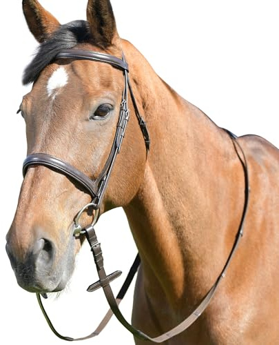 Kincade - Kappzaum mit Zügeln für Pferde Classic, Leder (Warmblut) (Braun)