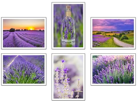DKORARTE Set mit 6 Holzbildern, Dekoration für modernes Wohnzimmer, Schlafzimmer, Zimmer, Landschaft, Natur, Felder, Lavendel, Brihuega, mit Metallaufhängern (2 x 38 x 29 cm, 4 x 29 x 20 cm)