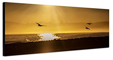 Wandbild auf Leinwand als Panorama in 120x40cm Neuseeland Meer Strand Möwen Sonnenaufgang