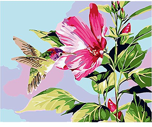 Zdklfm69 Malen nach Zahlen Ölgemälde nach Zahlen Kolibri DIY Kits Tier Färbung Ölbild Handgemalte Zeichnung Acryl Wohnkultur Kunst (Kein Rahmen) 40x50cm