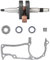 Manoud Kit de cigüeñal de Motosierra Apto for Husqvarna 365 372 XP Juego de Sellos de Aceite de cojinete Piezas de Motor de Motosierra Accesorios de Herramientas eléctricas de jardín