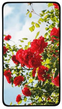 YXDVPALNE Red Roses Bush Printed, Coral Velvet Face Towels Face Washcloths Hand Towel 40 x 71 cm