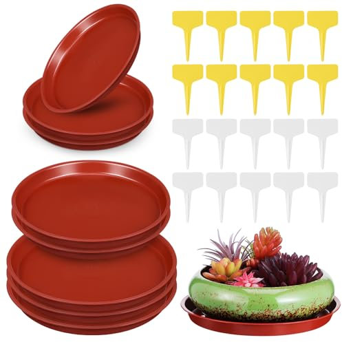 Toddmomy 12 bandejas de plástico para plantas y agua, para interiores, sin agujeros