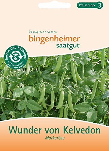 Bingenheimer Saatgut - Wunder von Kelvedon - Markerbse - 1 Tüte