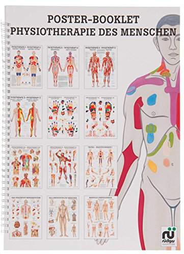 Physiotherapie des Menschen Mini-Poster Booklet Anatomie 34x24 cm, 12 Poster