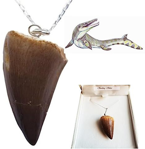 Jurassic Jewellery Fossil Mosasaur-Zahn-Halskette – extintiert Krokodil
