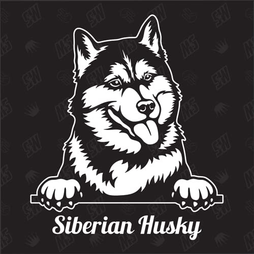 speedwerk-motorwear Husky Version 4 - Sticker, Siberian, Aufkleber, Hundeaufkleber, Autoaufkleber, Hund, Auto, Hunderassen, Mischling, Mix, Tiere, Haustier (AUCH MIT Wunschname MÖGLICH)
