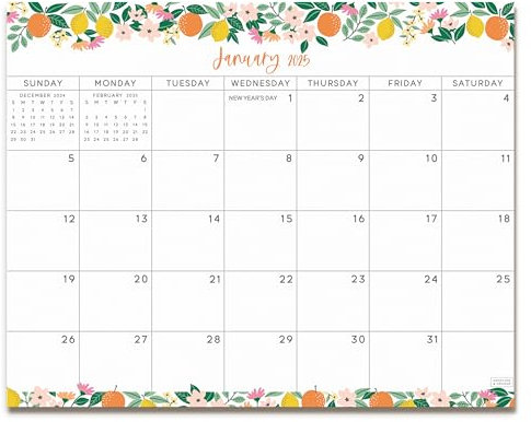 S&O Fruity Magnetischer Kühlschrankkalender von Januar 2025 bis Juni 2026 – abreißbarer Kühlschrankkalender zum Verfolgen von Veranstaltungen und Terminen – 18-Monats-Planer für Kühlschrank für