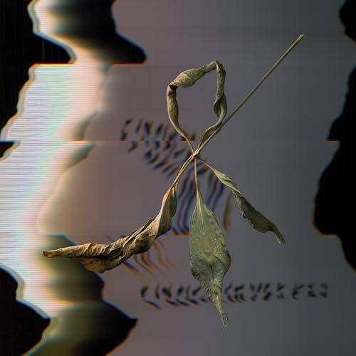 Constellation