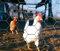 Chicken Wire 3ft x 50 meters 900x50x50 2 Wire Netting Mesh 20g (7.8kg)