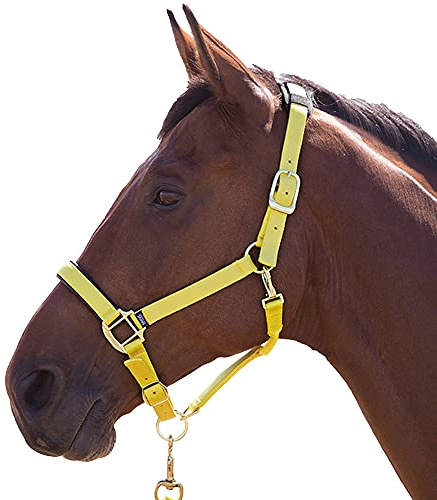Shires Topaz Nylon Headcollar-Yellow Full
