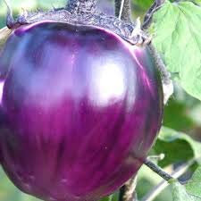 PlenTree - Semi di melanzana Violetta Di Firenze, 30 semi di alta qualità, colore: Viola