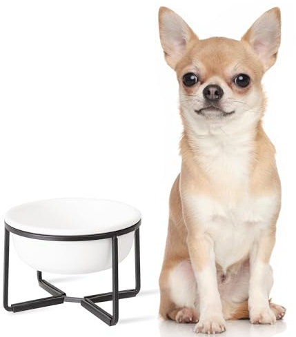 Comedero Perro Elevado de Cerámica - Cuenco Perro con Soporte de Metal Antideslizante - Comedero Perro Pequeño - Plato Comida Perro - Bol Agua Perros - Ideal para Cachorros y Gatos - 400 ml - Blanca