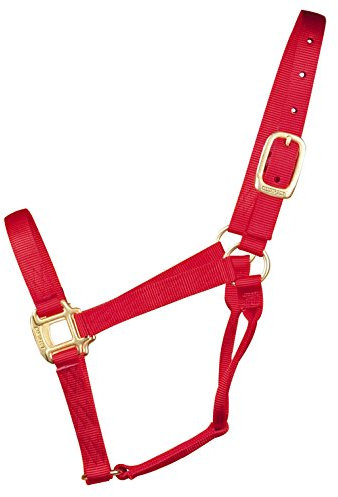 Hamilton 2,5 cm hochwertiges Nylonhalfter für Pferde mit 500 bis 362,9 kg, klein, rot