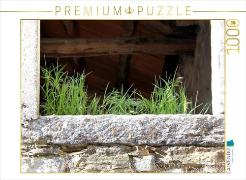 CALVENDO Puzzle Getreide sprießt auch auf dem Fenstersims, wenn der Wind mithilft | 1000 Teile Lege-Größe 64 x 48 cm Foto-Puzzle für glückliche Stunden