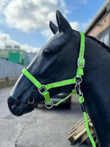 Equipride Reflektierendes Halfter und Führstrick Set Neopren gepolstert Full-Shetland Neon Grün (Shetland)