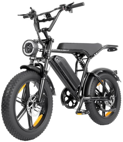 Sinaopus E-Bike 250W Elektrofahrrad für Erwachsene Fatbike 20 mit 48V 15Ah Akku & Doppelte Federung, Offroad-Elektrofahrrad bis zu 100 km