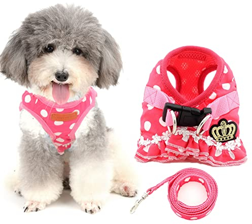 Ranphy Kleine Hunde Hundegeschirr mit Leine Polka Punkt Brustgeschirr Verstellbare Haustier Geschirr für Katze Rosa Größe S
