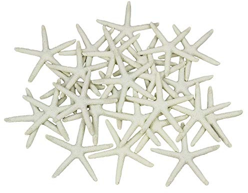 LJY Beige Resin Starfish, 25 Pack, 8 cm Coastal Craft Decor, Ivory | Raised surface details create a repeated sea-life form for dry decorative arrangements