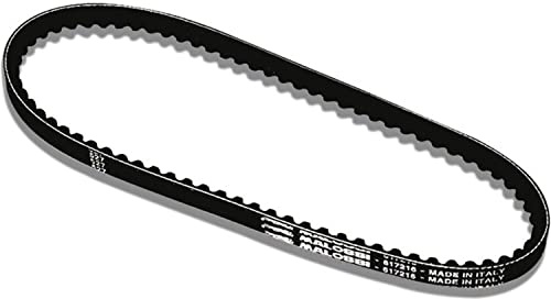 Keilriemen Malossi Special Belt für Honda X8R, SGX, SH