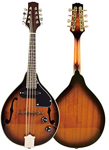 Electric Mandolin Sapele Panel Mandolin Rosewood Fingerboard Mandolin Mandolin Instrument