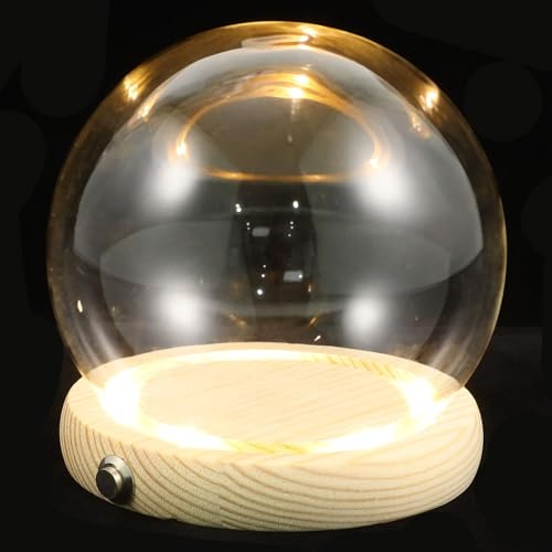 DOITOOL Cloche en Verre Socle Lumineux en Bois pour Affichage de Fleurs, Décoration de Table Élégante et Fonctionnelle, Design Romantique et Solide
