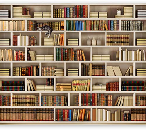 murando - Vlies Fototapete Bibliothek 350x256 cm - Foto Tapete Schlafzimmer Wohnzimmer Moderne Vliestapete XXL Wandtapete Motivtapeten Bildtapete 3d Effekt Wand Dekoration - Buch Bücher 10110905-29