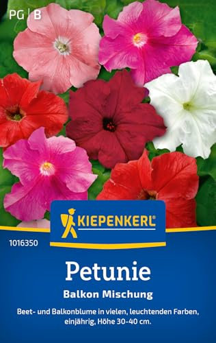 Kiepenkerl Petuniensamen Balkon Mischung 1016350 - Beet- und Balkomblume - viele leuchtende Farben - 30-40cm - einjährig - Saatgut, Blumensamen