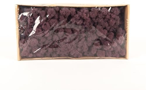 INNA-Glas Dekoratives Moos SVEINBJÖRN, aubergine, 500g - Echtes Isländisches Moos