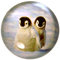 trendaffe Pinguin Briefbeschwerer -