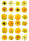 Orange Trading Dartmouth Ltd 24 Mixed Yellow Flowers Edible Wafer Paper Cake Toppers Decorations