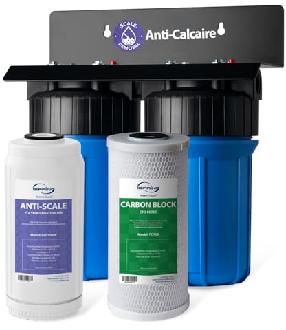 iSpring WGB21B-DS Filtro Acqua Ingresso Generale, Purificatore Acqua per Tutta la Casa, Filtro Anticalcare + CTO 10x4.5 (Cloro e Odori), Connessione 1, Senza Calcare e Protezione Tubi